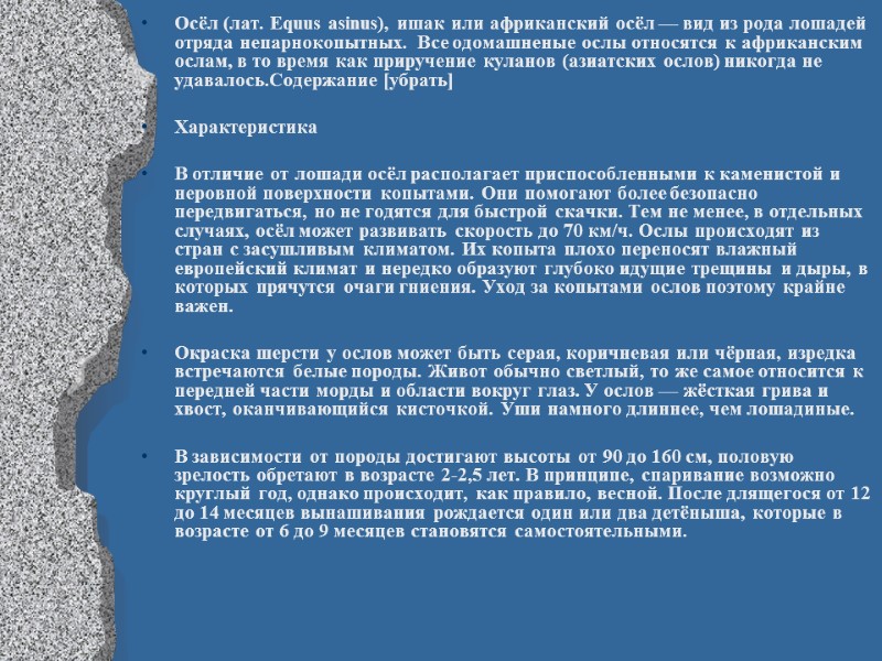 Осёл (лат. Equus asinus), ишак или африканский осёл — вид из рода лошадей отряда